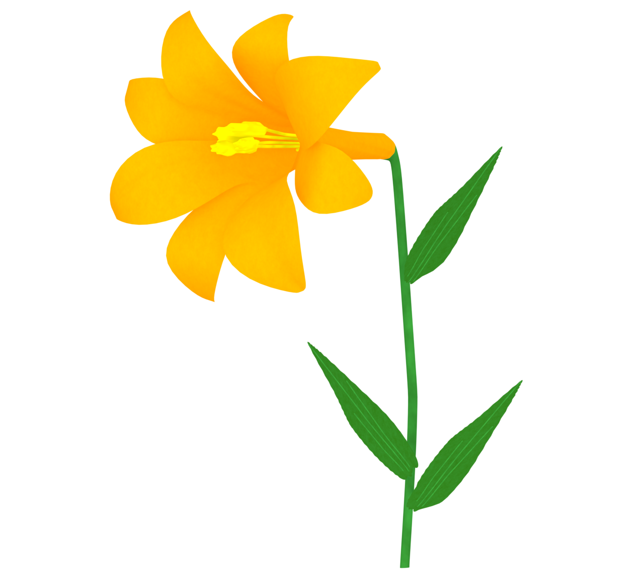 オレンジ色の美しいユリのイラスト