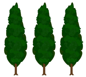 並ぶ糸杉のイラスト