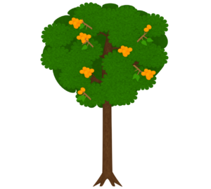 びわの木のイラスト