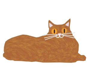 縦目のメインクーンの猫のイラスト