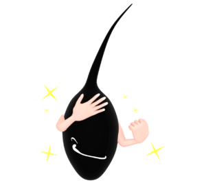 健康を維持する毛根のイラスト