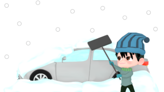 man removing snow from car img