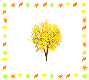 もみじとイチョウと落ち葉のフレーム