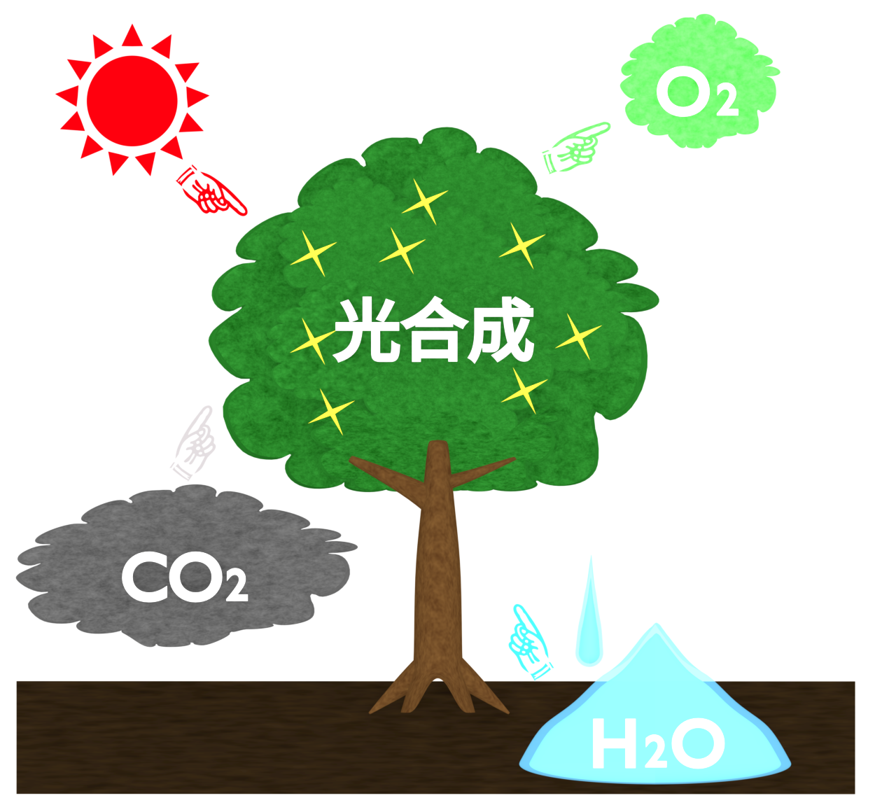 光合成のしくみのイラスト