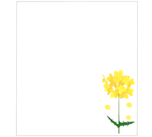 菜の花のメッセージカード