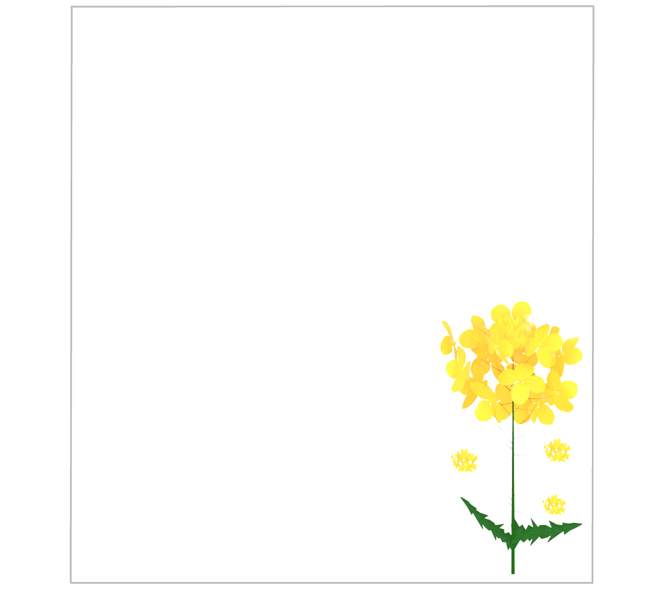 菜の花のメッセージカード