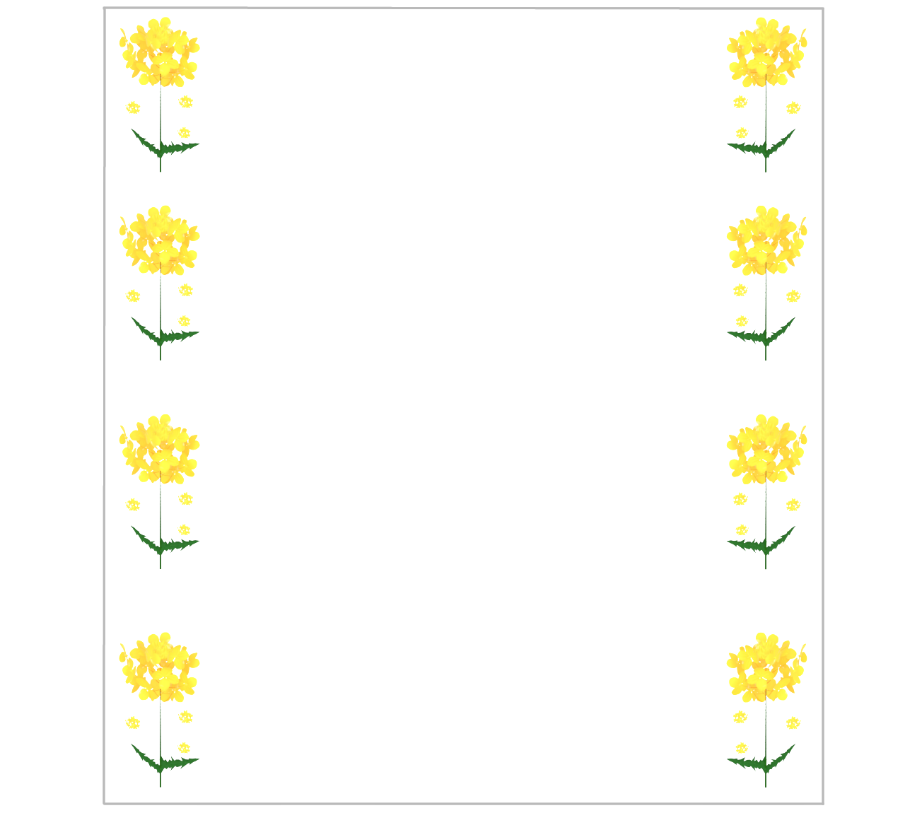 菜の花のテンプレート