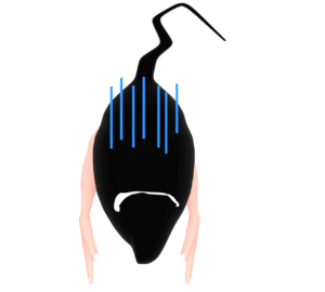 元気のない毛根のイラスト