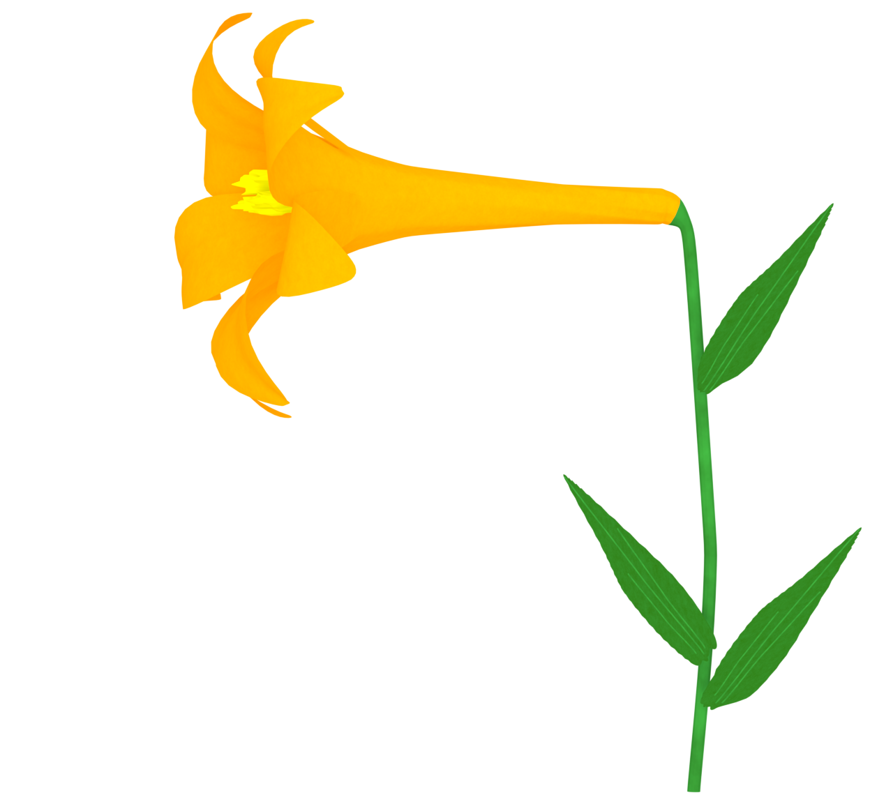 オレンジ色の百合の花のイラスト