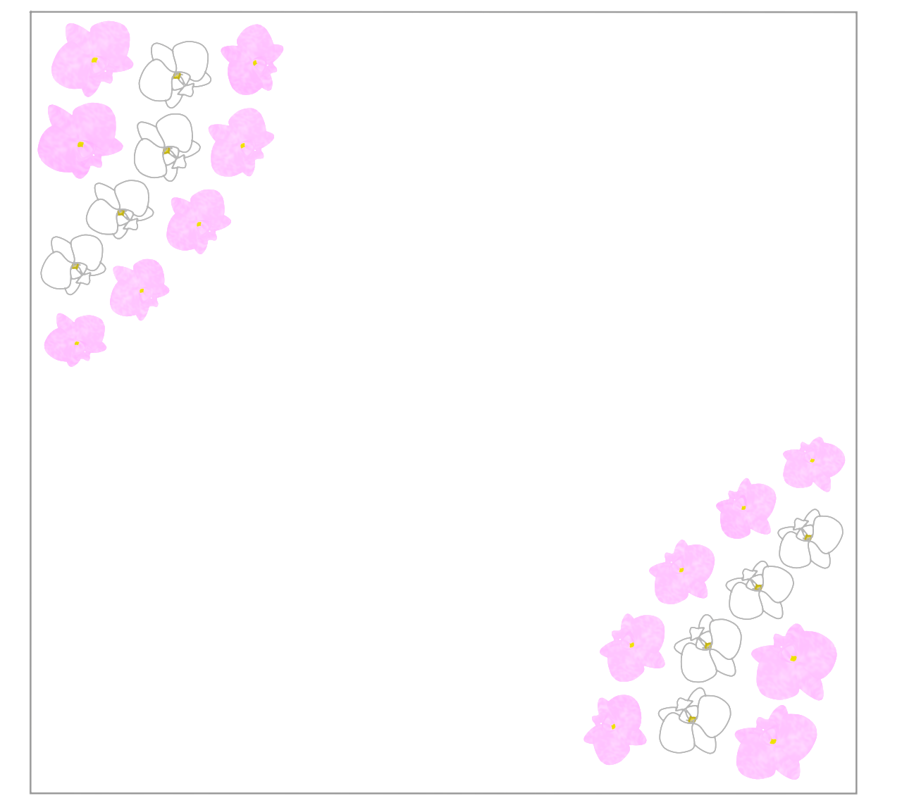 コチョウランのかわいい枠
