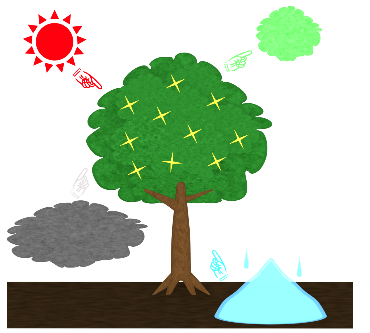 光合成のイラスト