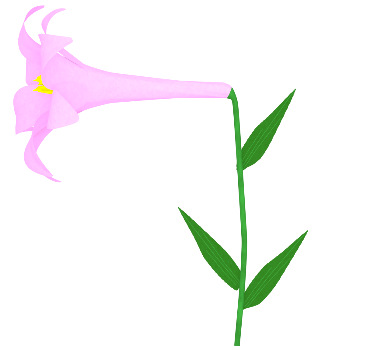 ピンク色のユリのイラスト