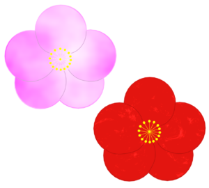 ピンクと赤の梅の花のイラスト