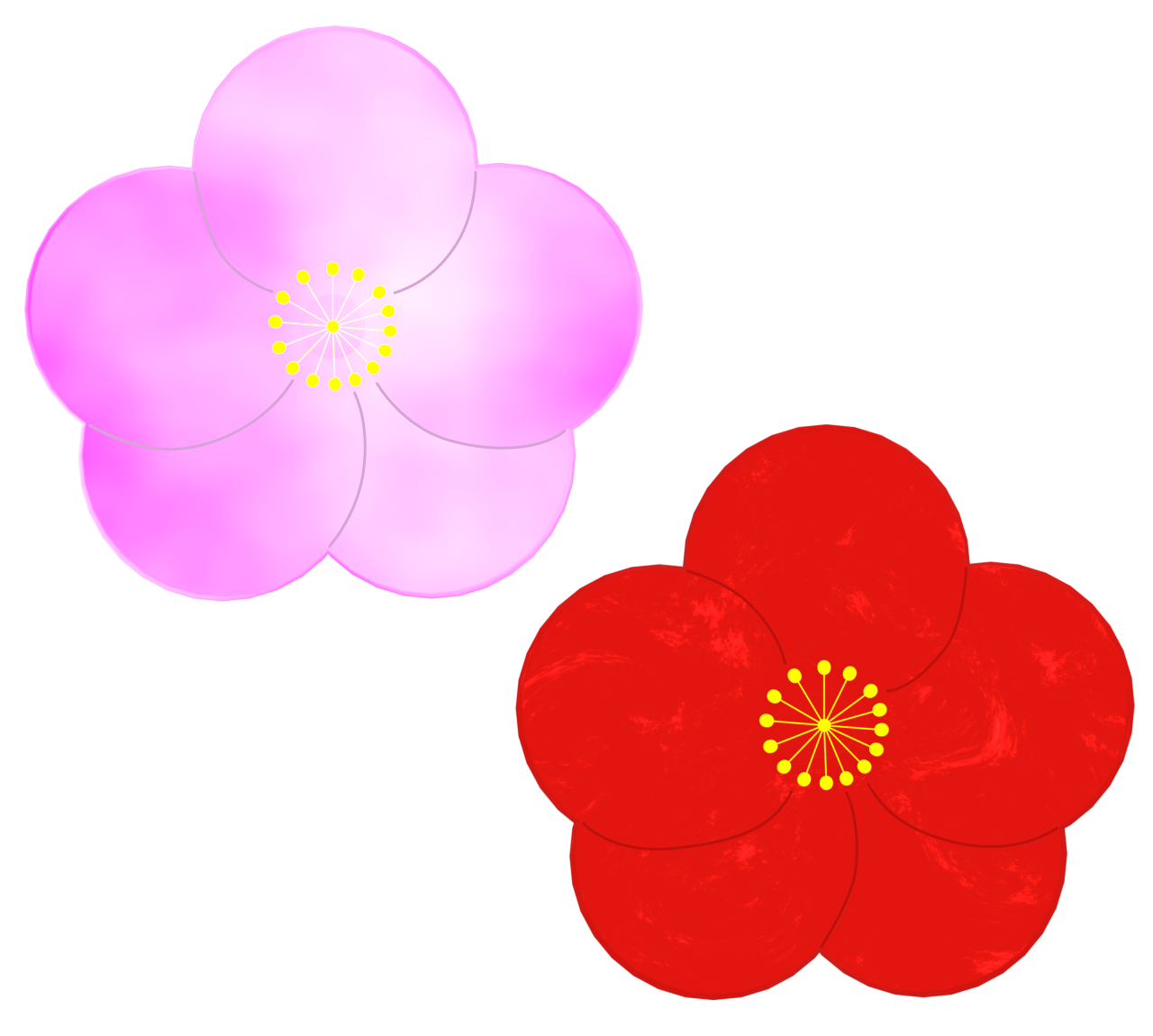 ピンクと赤の梅の花のイラスト