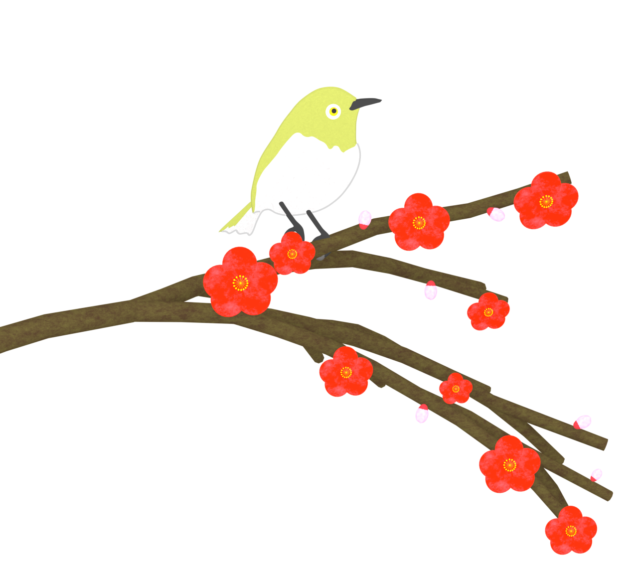 梅の木にとまるメジロのイラスト