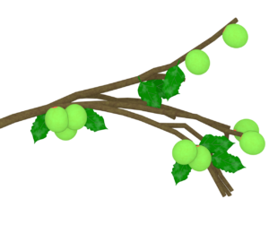 梅の木に実る青梅のイラスト