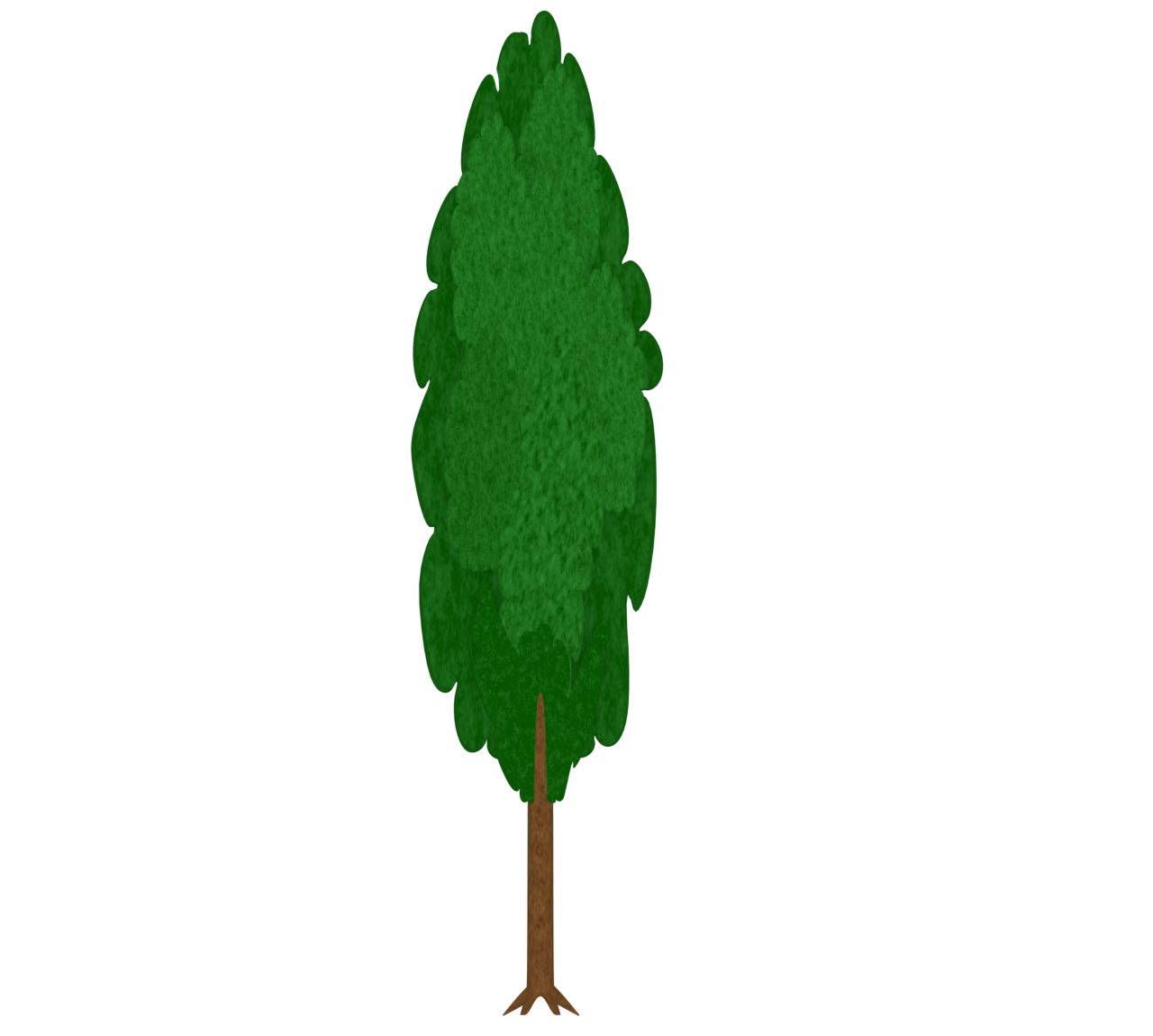 ポプラの木のイラスト