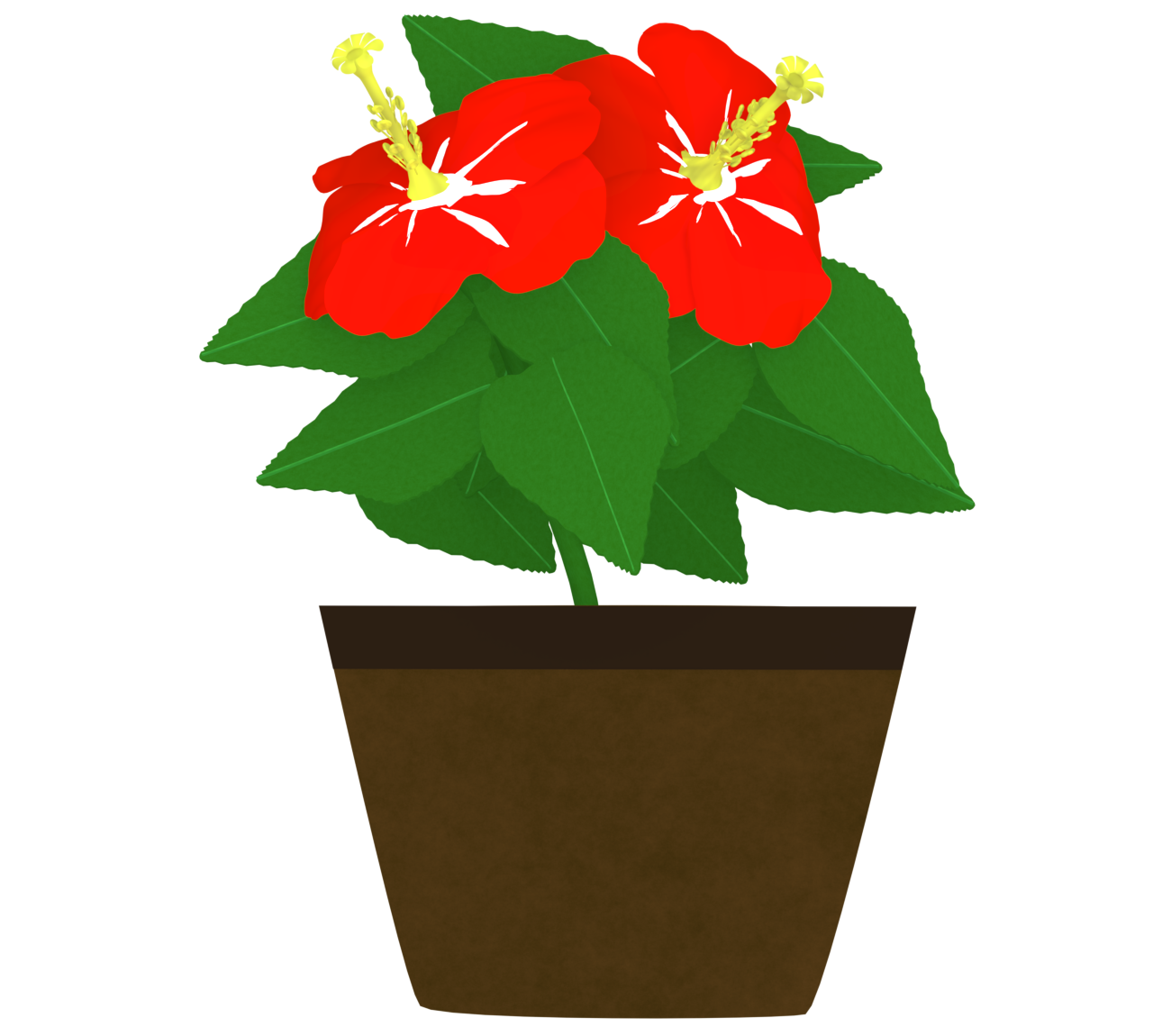 鉢植えのハイビスカスのイラスト