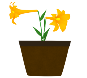 鉢植えのユリのイラスト