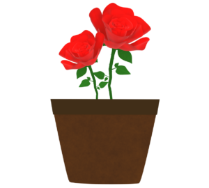 鉢植えの薔薇のイラスト