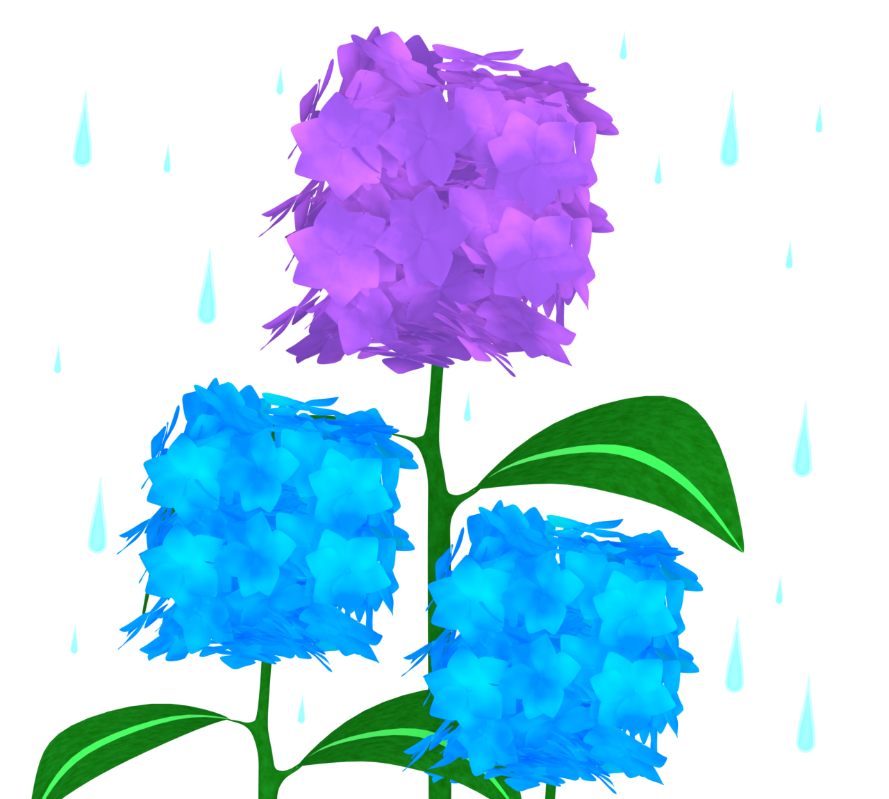 雨が降る紫陽花のイラスト