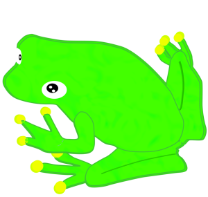リアルなカエルのイラスト