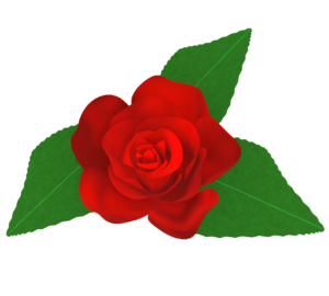 赤色の綺麗な薔薇の花のイラスト