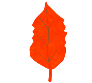 赤い落ち葉のイラスト