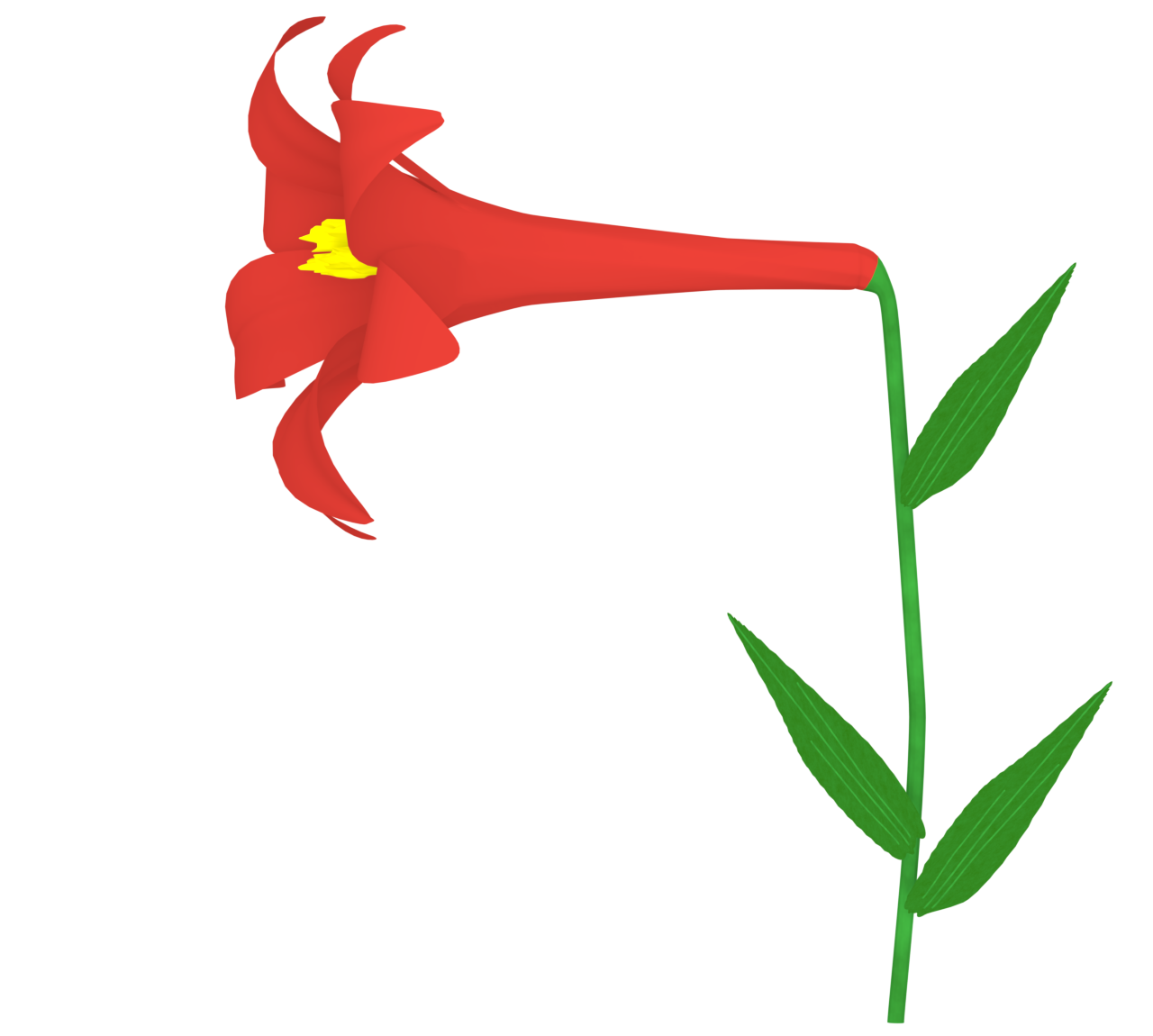 赤色のユリのイラスト
