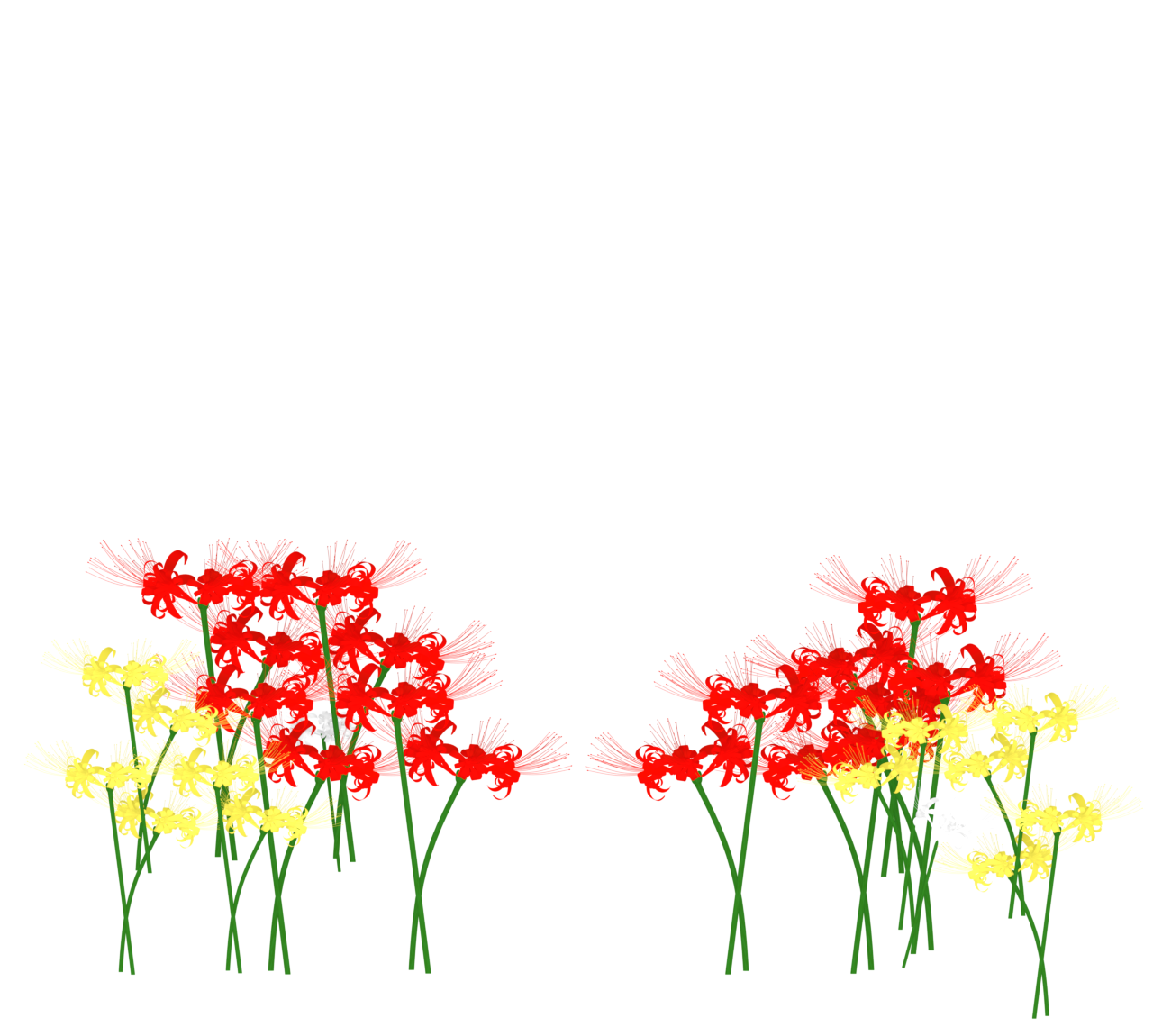 開花をした彼岸花の背景素材（透過）