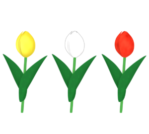 赤・白・黄のチューリップのイラスト