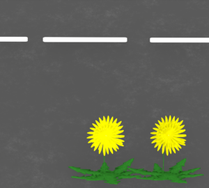 道路に咲くたんぽぽのイラスト