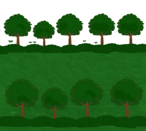 けやきの木が並ぶ道のイラスト