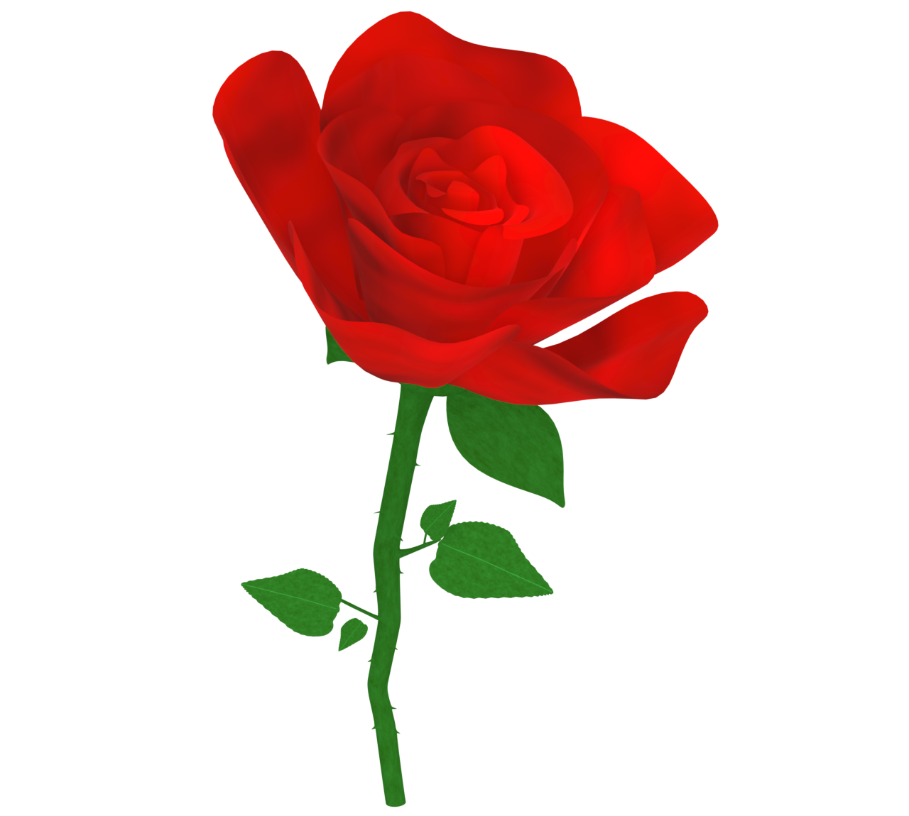 薔薇の花のイラスト