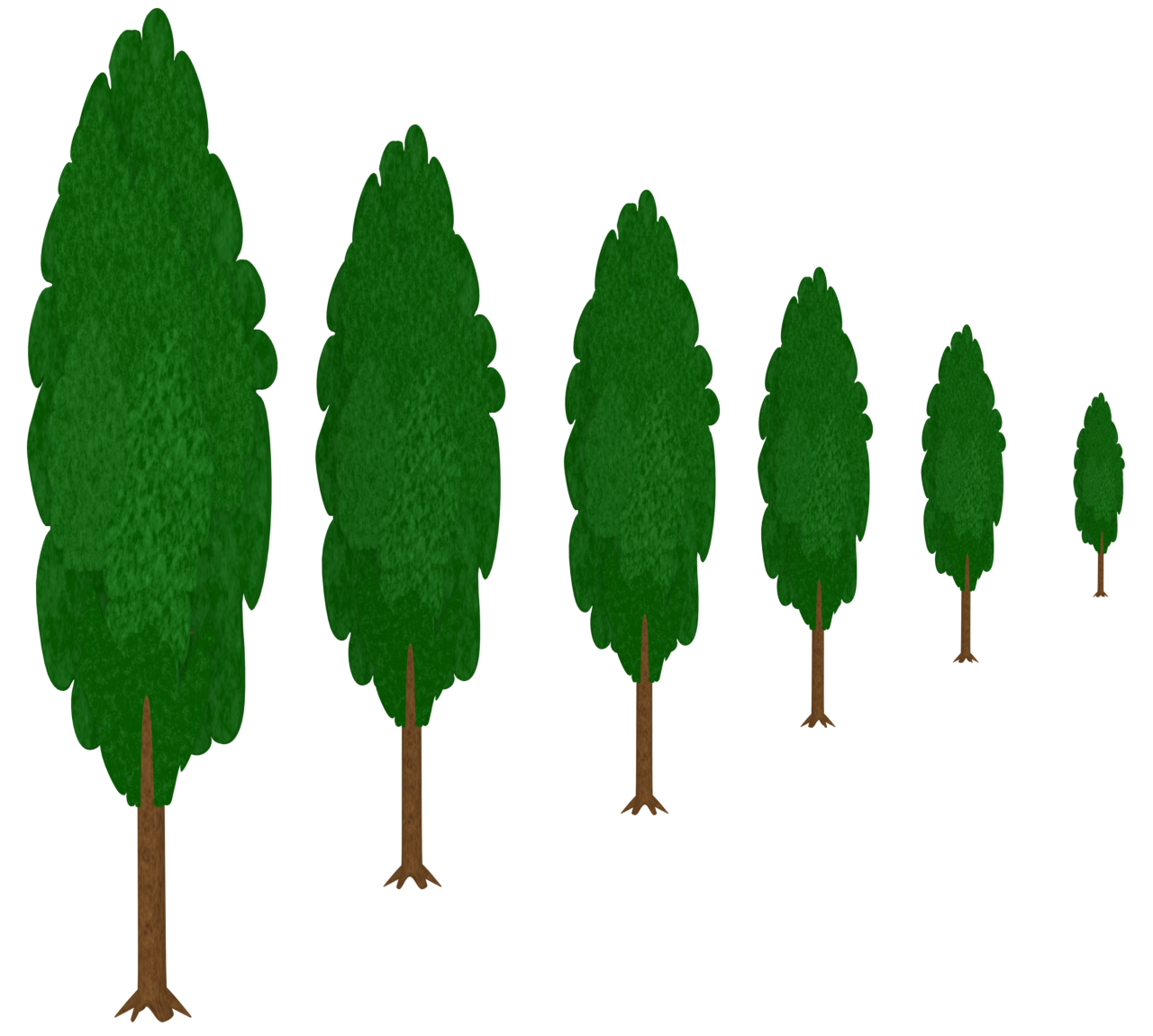 ポプラ並木のイラスト