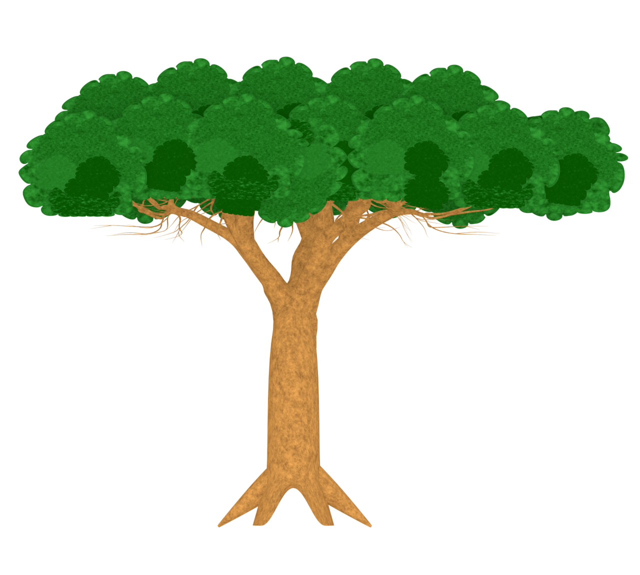 リュウケツジュのイラスト