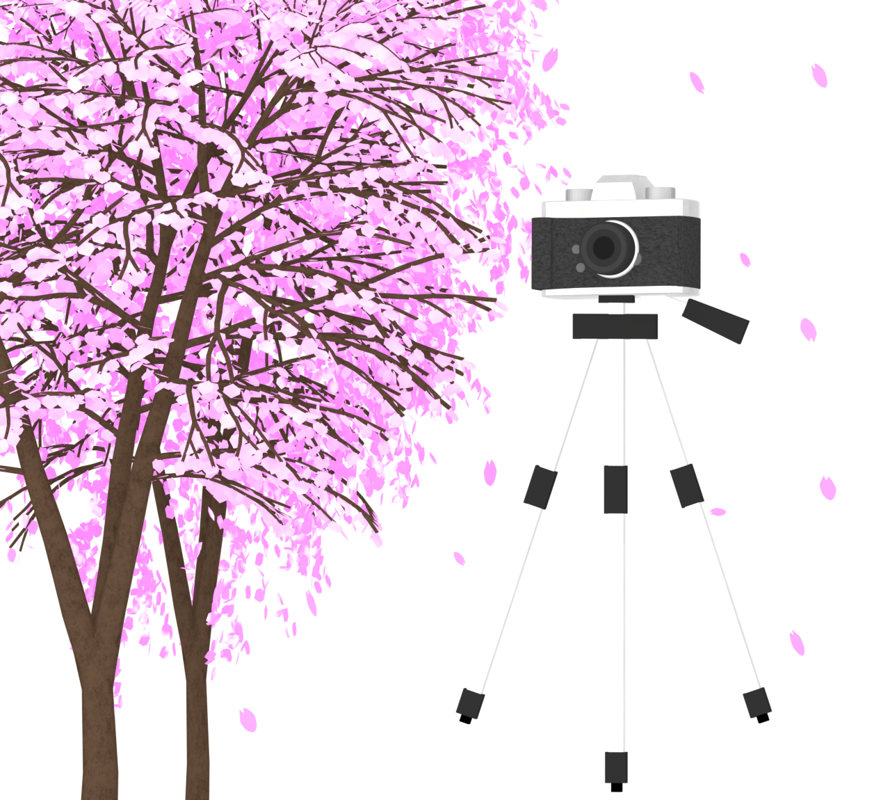満開の桜とカメラのイラスト