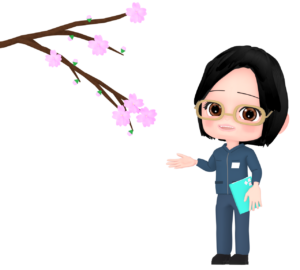 桜の開花を説明する女性調査員のイラスト