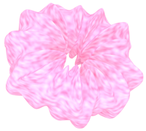 シュシュのイラスト