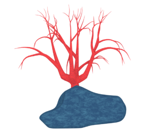 海サンゴのイラスト