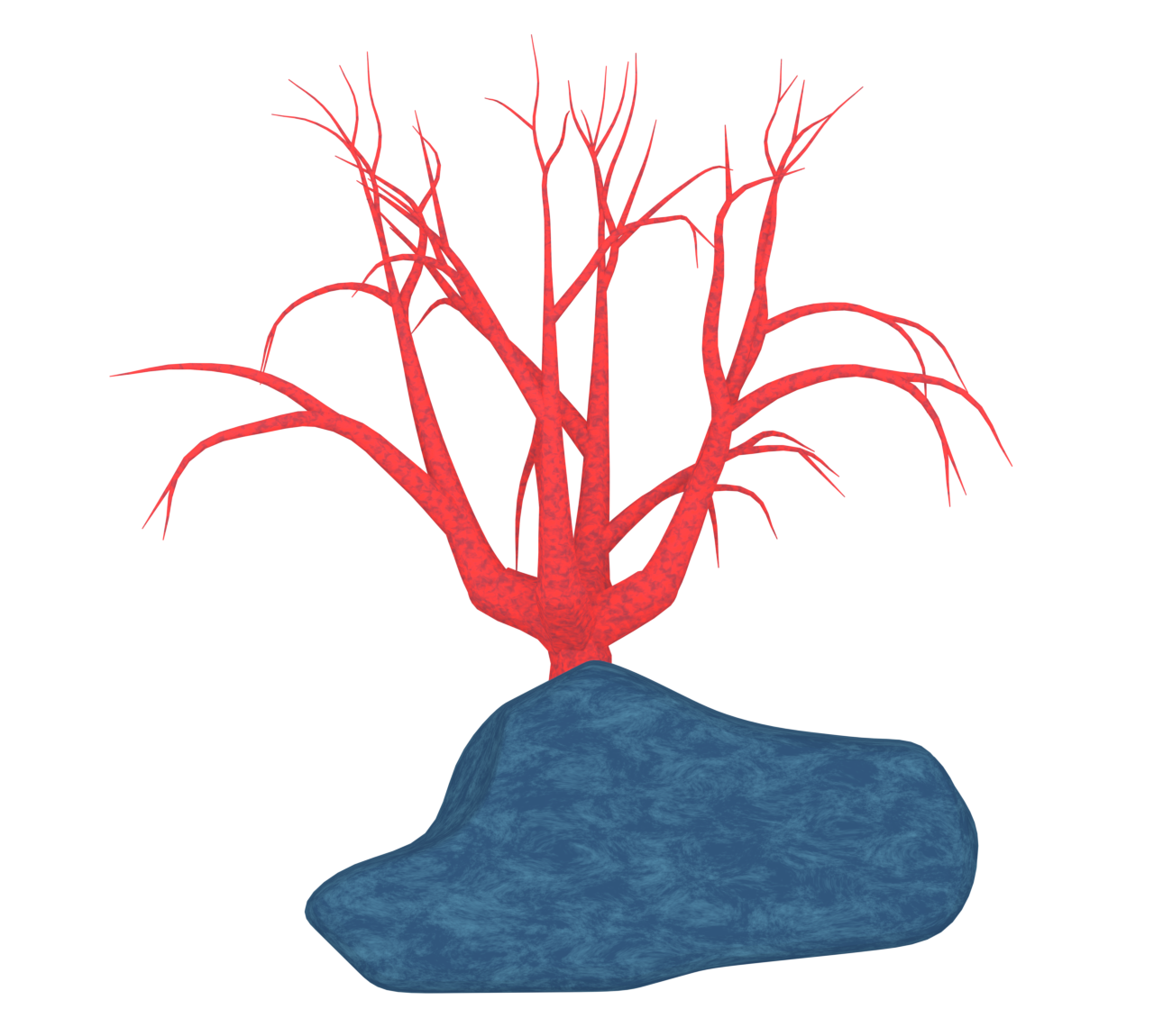 海サンゴのイラスト