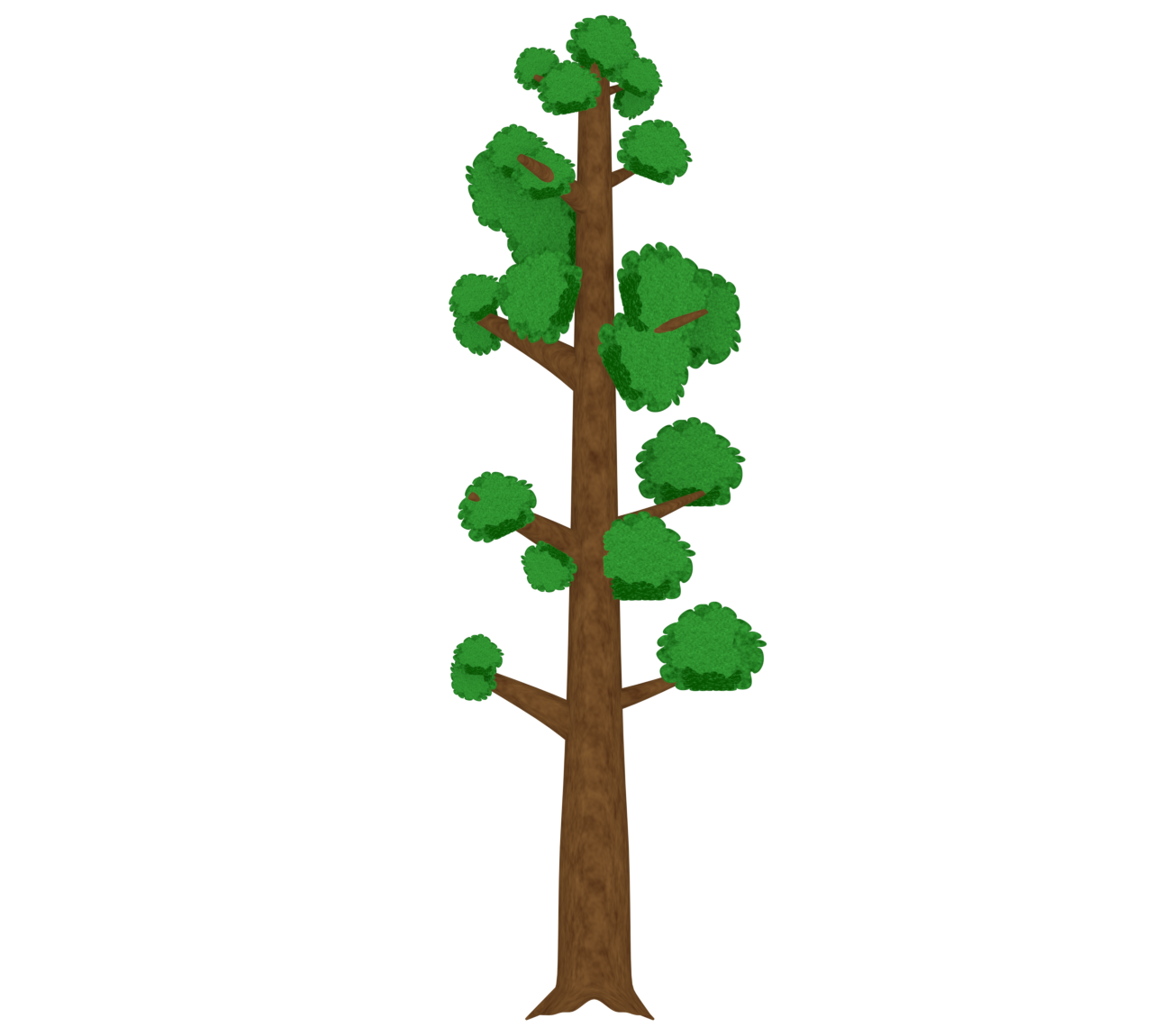 セコイアの木のイラスト