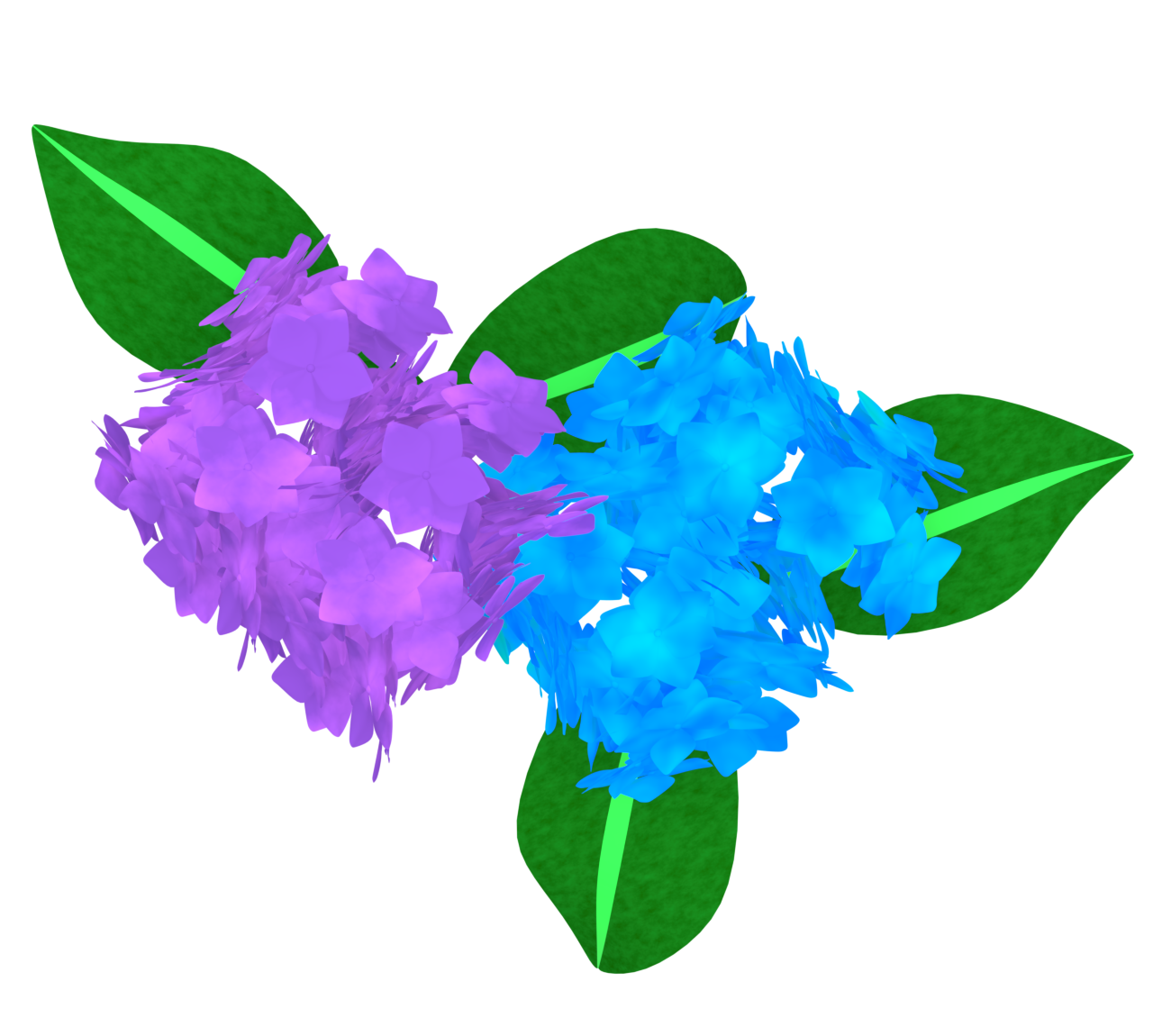 上から見るシンプルな紫陽花のイラスト