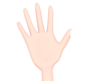 手を開くイラスト