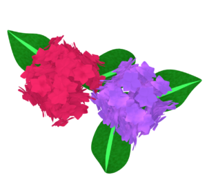 赤系の紫陽花のイラスト