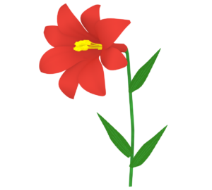 シンプルな百合の花のイラスト