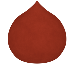 シンプルなチューリップの球根のイラスト