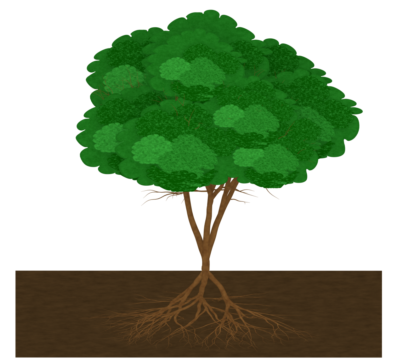 土に広がる大きな木の根っこのイラスト