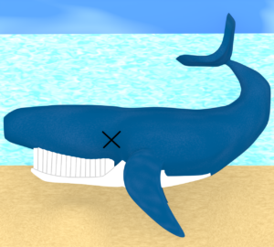 座礁をしたクジラのイラスト