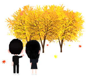 もみじの木を眺める学生のイラスト